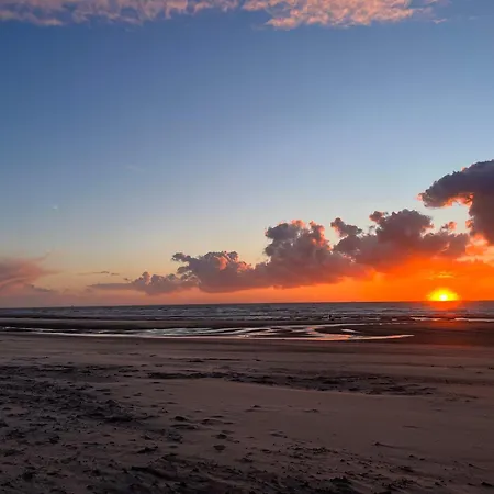 Daire Perfect At - Pets Welcome De Haan