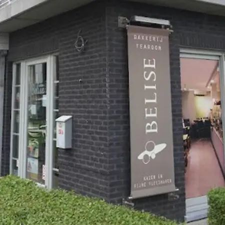 Perfect At - Pets Welcome Daire De Haan